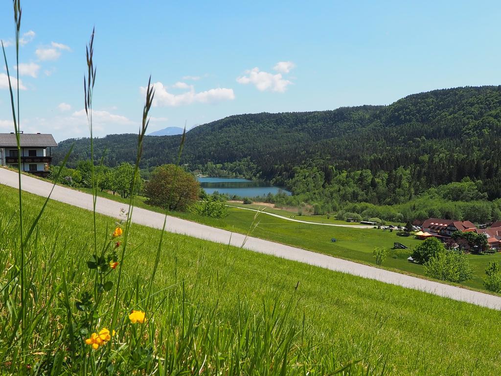 Apartmán Rizzi Haus Klagenfurt am Woerthersee Pokoj fotografie